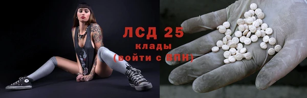 ПСИЛОЦИБИНОВЫЕ ГРИБЫ Алексин