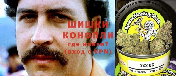 ПСИЛОЦИБИНОВЫЕ ГРИБЫ Алексин