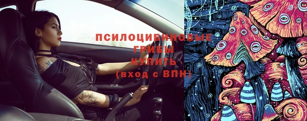 ПСИЛОЦИБИНОВЫЕ ГРИБЫ Алексин