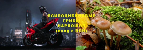 ПСИЛОЦИБИНОВЫЕ ГРИБЫ Алексин