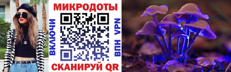 Псилоцибиновые грибы Psilocybe  сайты даркнета официальный сайт  Славск  купить  цена 